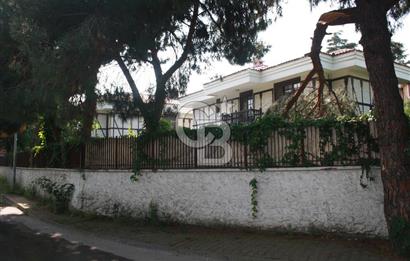 tuzla mercan sahilde 1000 m2 bahçeli müstakil havuzlu 2 villa